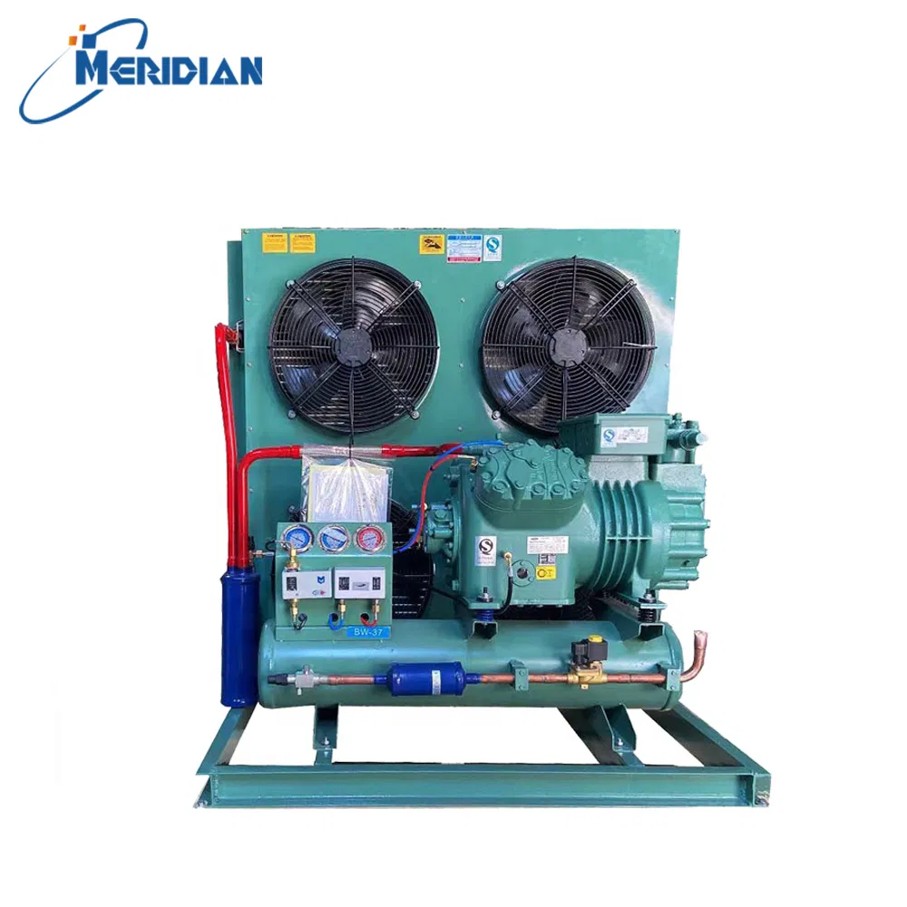 Outdoor Wall Split Condensing Unit Mobile Container Cold Room Walk-in Cold Storage Freezing Copper Tube R22 R404A 220V