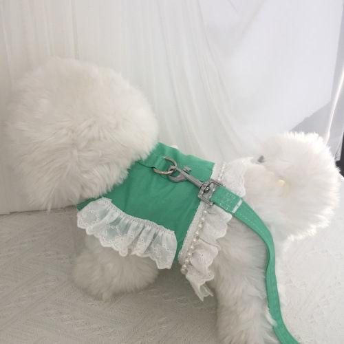 Roupas Elegantes para Animais de Estimação Camiseta com Guia para Cachorro e Gato