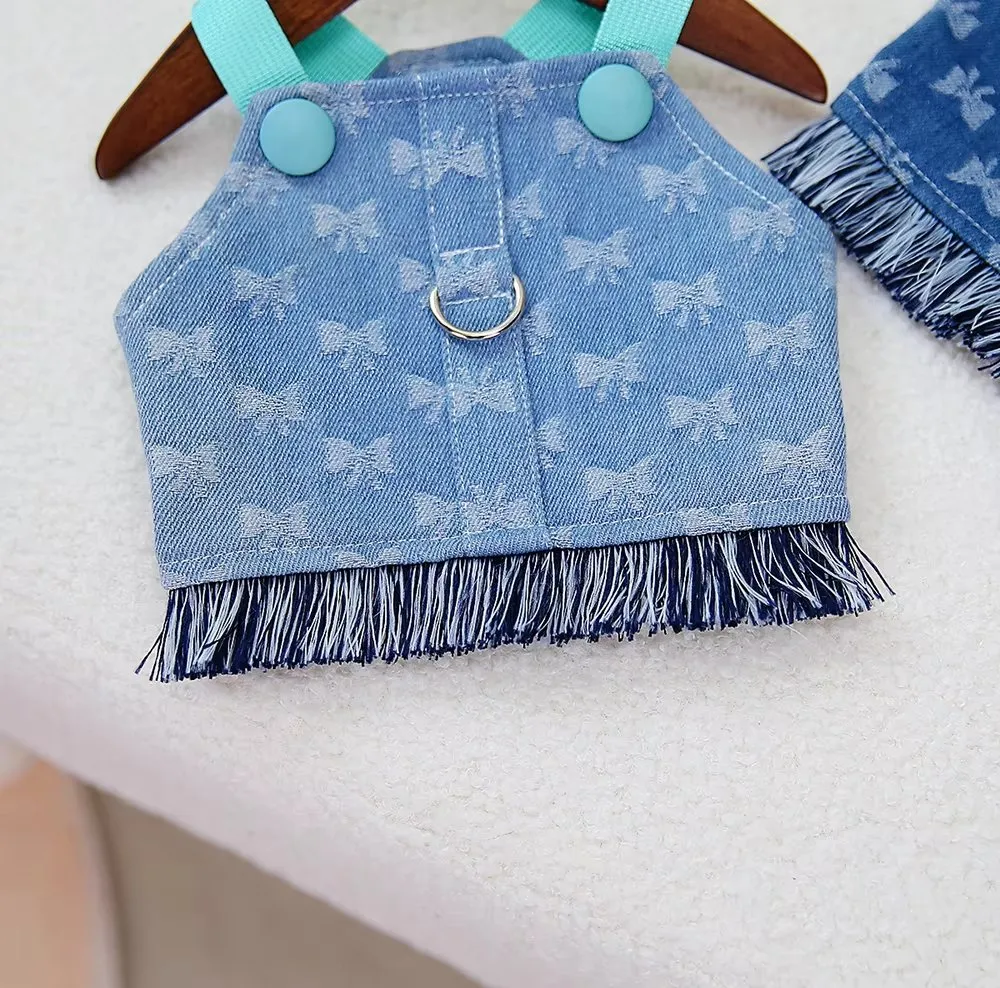 Detalhe Roupa Cão 9