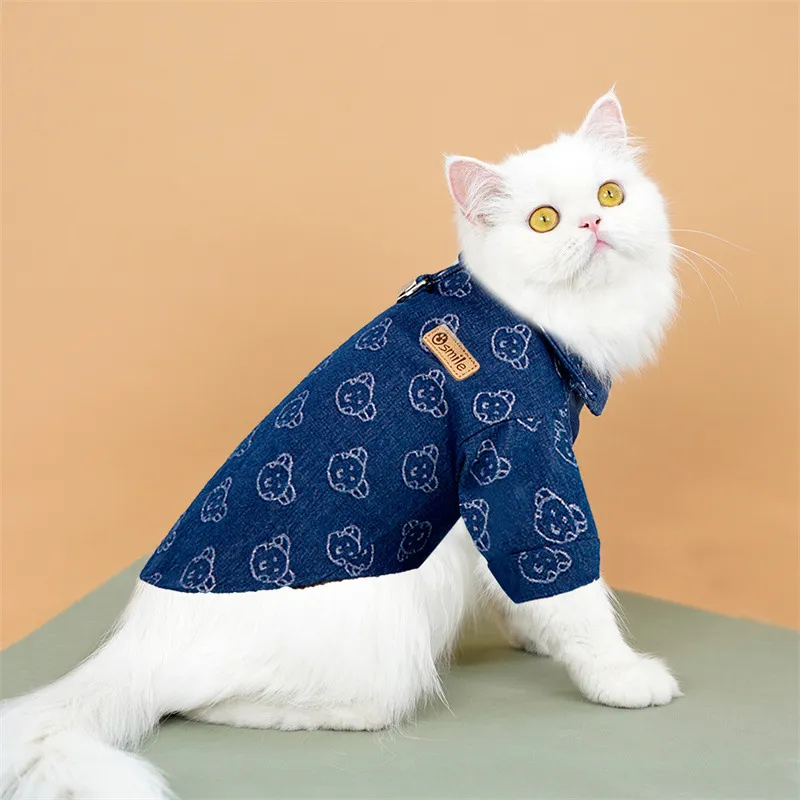 Camisa de Denim 2