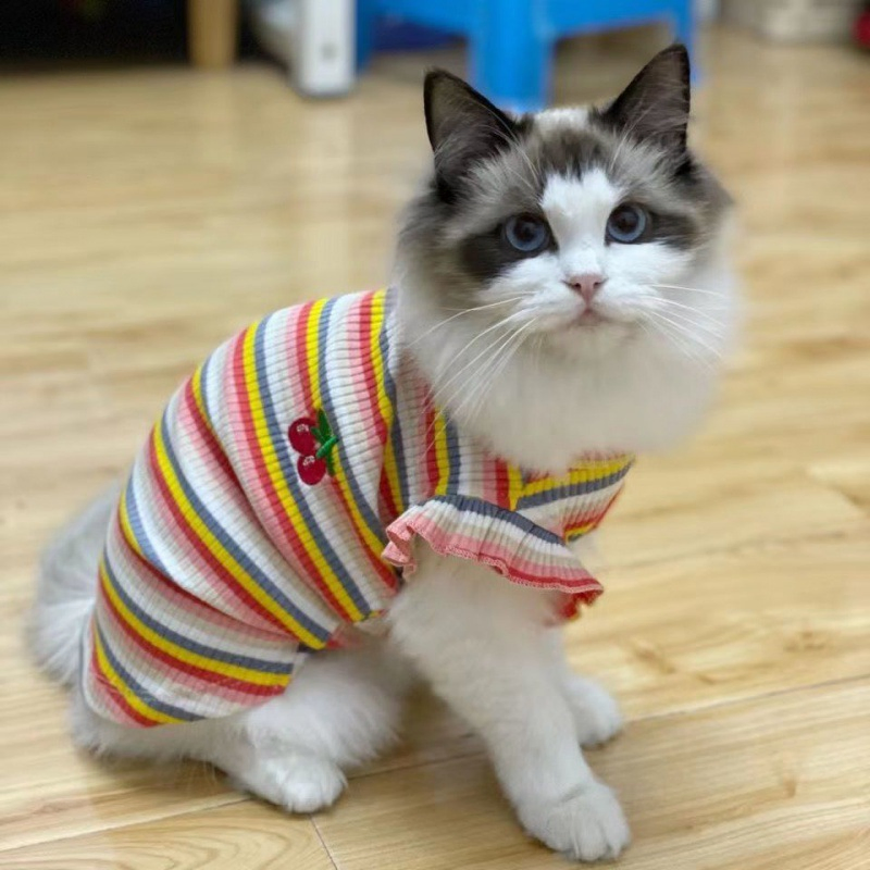 Linda Camiseta Listrada de Verão para Animais de Estimação com Mangas Curtas