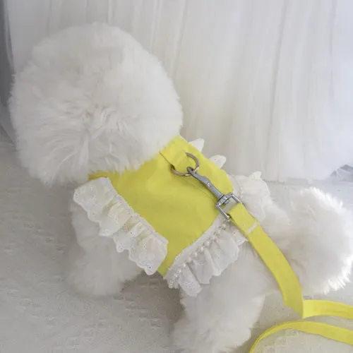 Detalhe Roupa de Pet 5