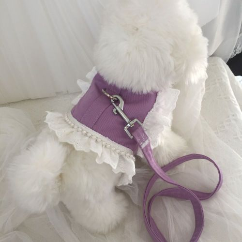 Roupas Elegantes para Animais de Estimação Camiseta com Guia para Cachorro e Gato