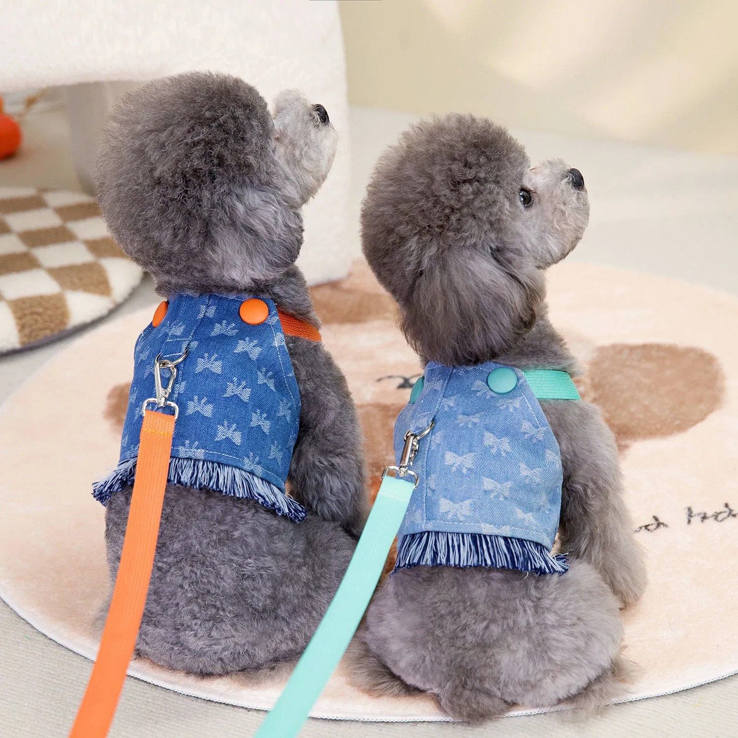 Conjunto de Roupas para Cães Colete de Alta Qualidade em Denim com Guia para Cães Pequenos Estampa Fofa para Primavera Verão em Poliéster e Algodão