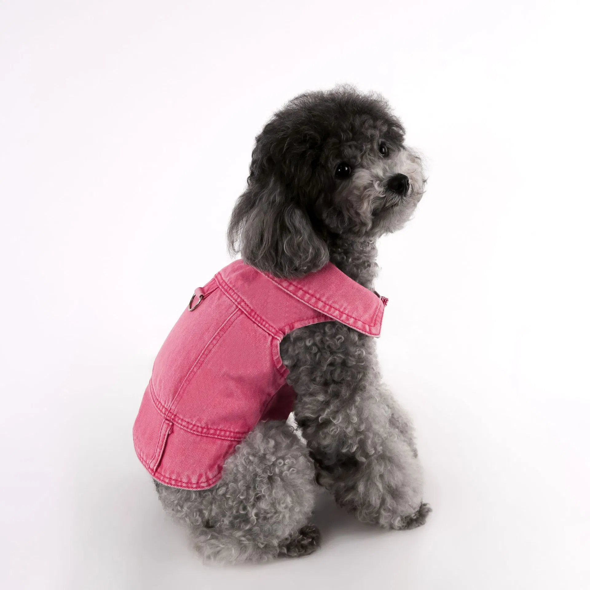 Jaqueta de Denim Lavado para Cachorro, Casaco Estiloso para Pomeranian, Roupas para Animais de Estimação