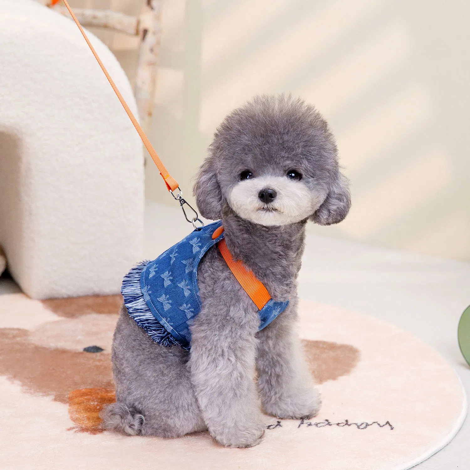 Conjunto de Roupas para Cães Colete de Alta Qualidade em Denim com Guia para Cães Pequenos Estampa Fofa para Primavera Verão em Poliéster e Algodão