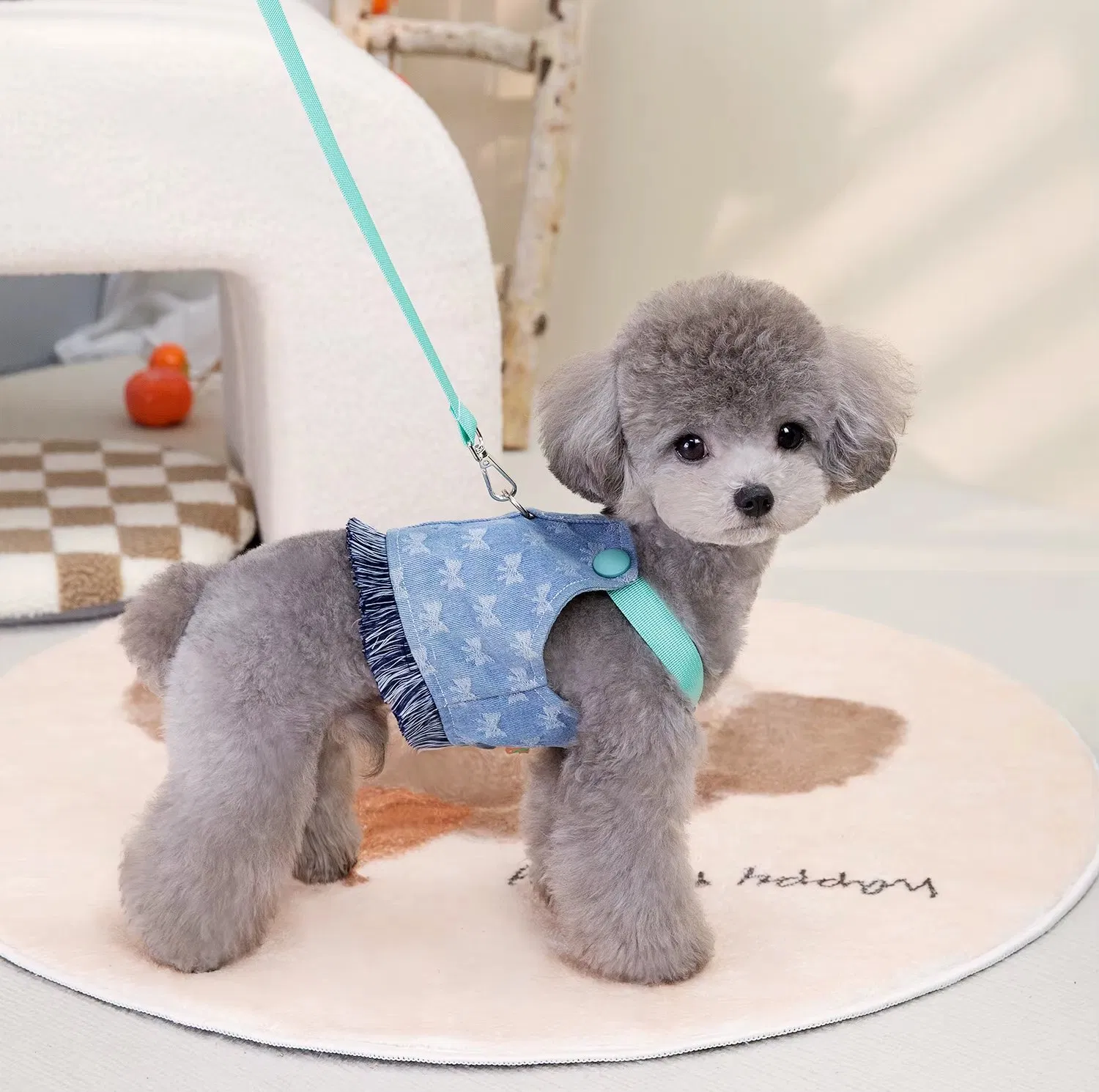 Detalhe Roupa Cão 4