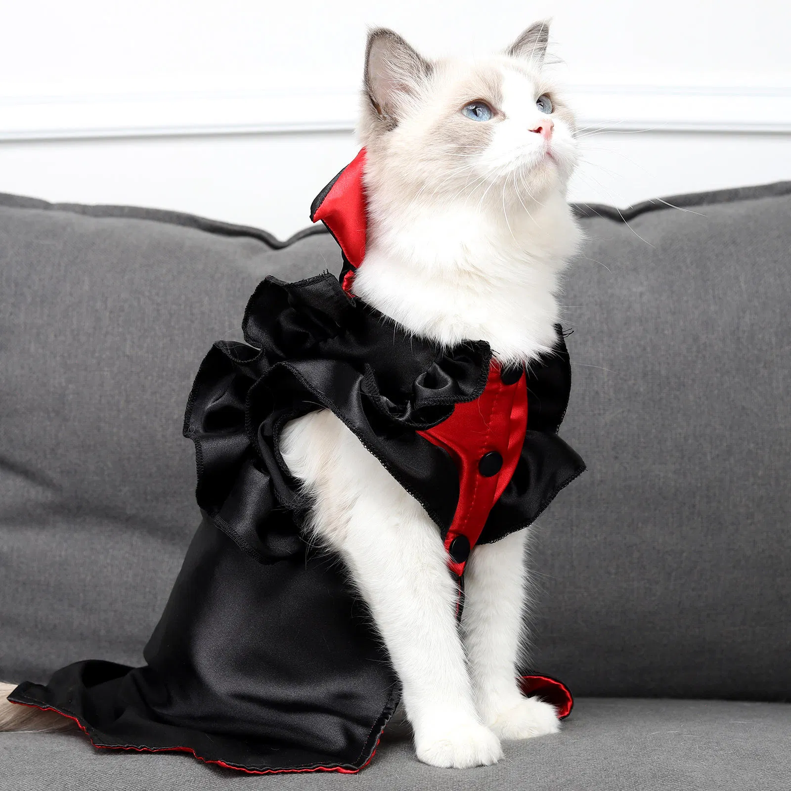 Capa de Halloween para animais de estimação, roupa de gato, vestido de vampiro
