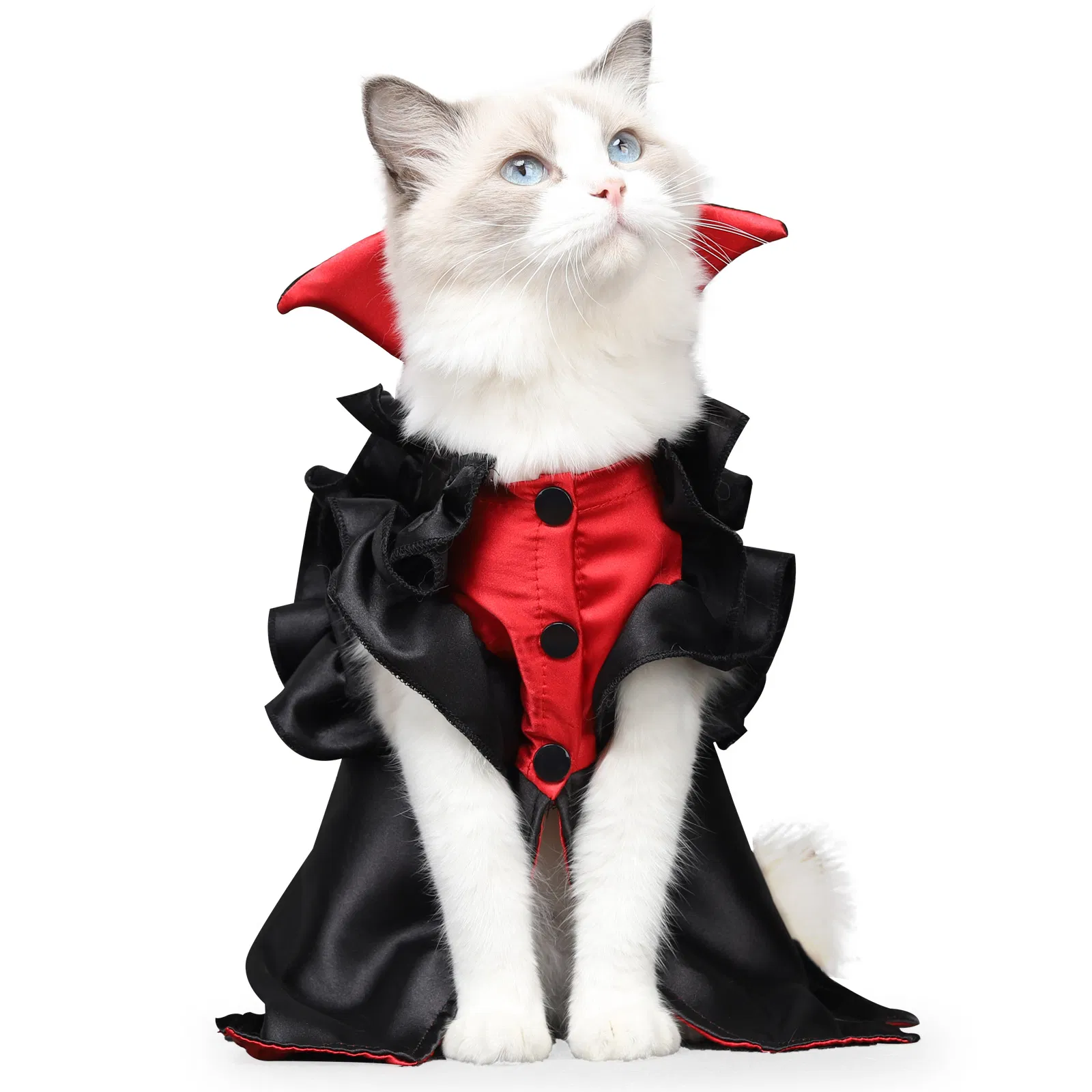 Capa de Halloween para animais de estimação, roupa de gato, vestido de vampiro