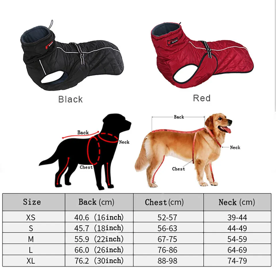 Casaco para Cães Detalhe 1