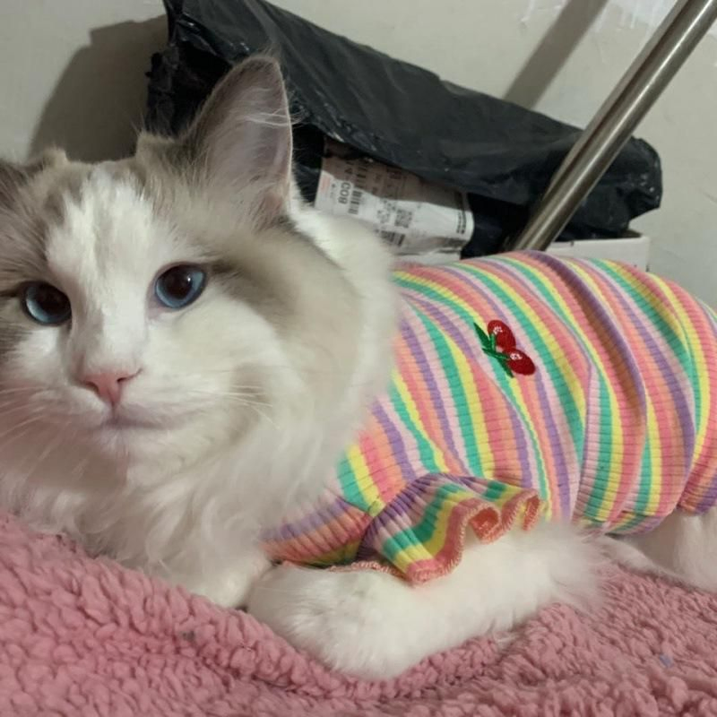Linda Camiseta Listrada de Verão para Animais de Estimação com Mangas Curtas