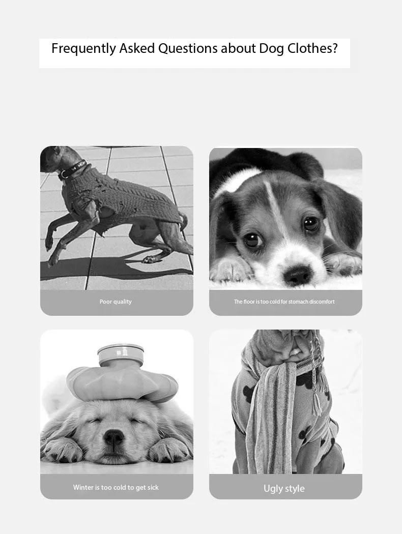 Roupas de Cão 2