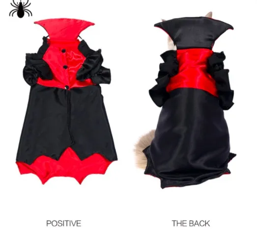 Roupa de gato detalhada
