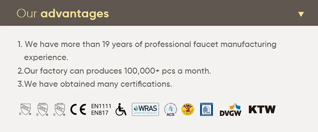 Ceramic Undermount Sink