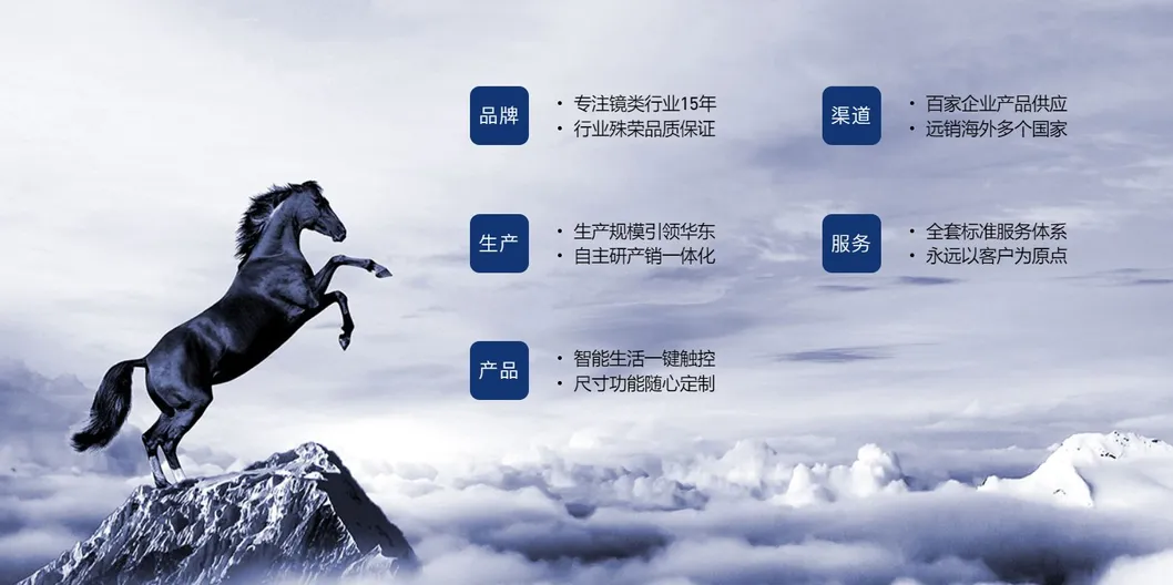 Intelligent Mirror Features