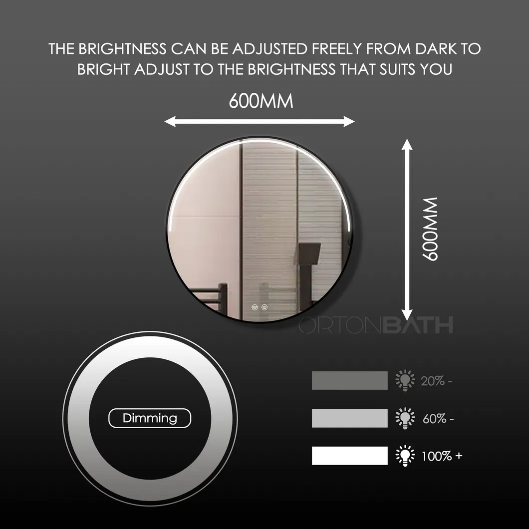 Detailed Mirror View 2