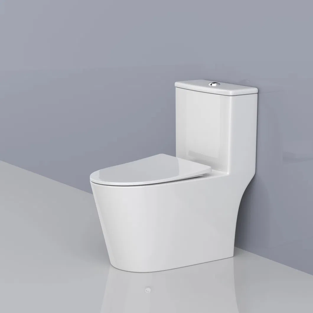 Ceramic Toilet