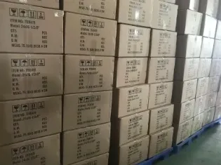 Carton Packing