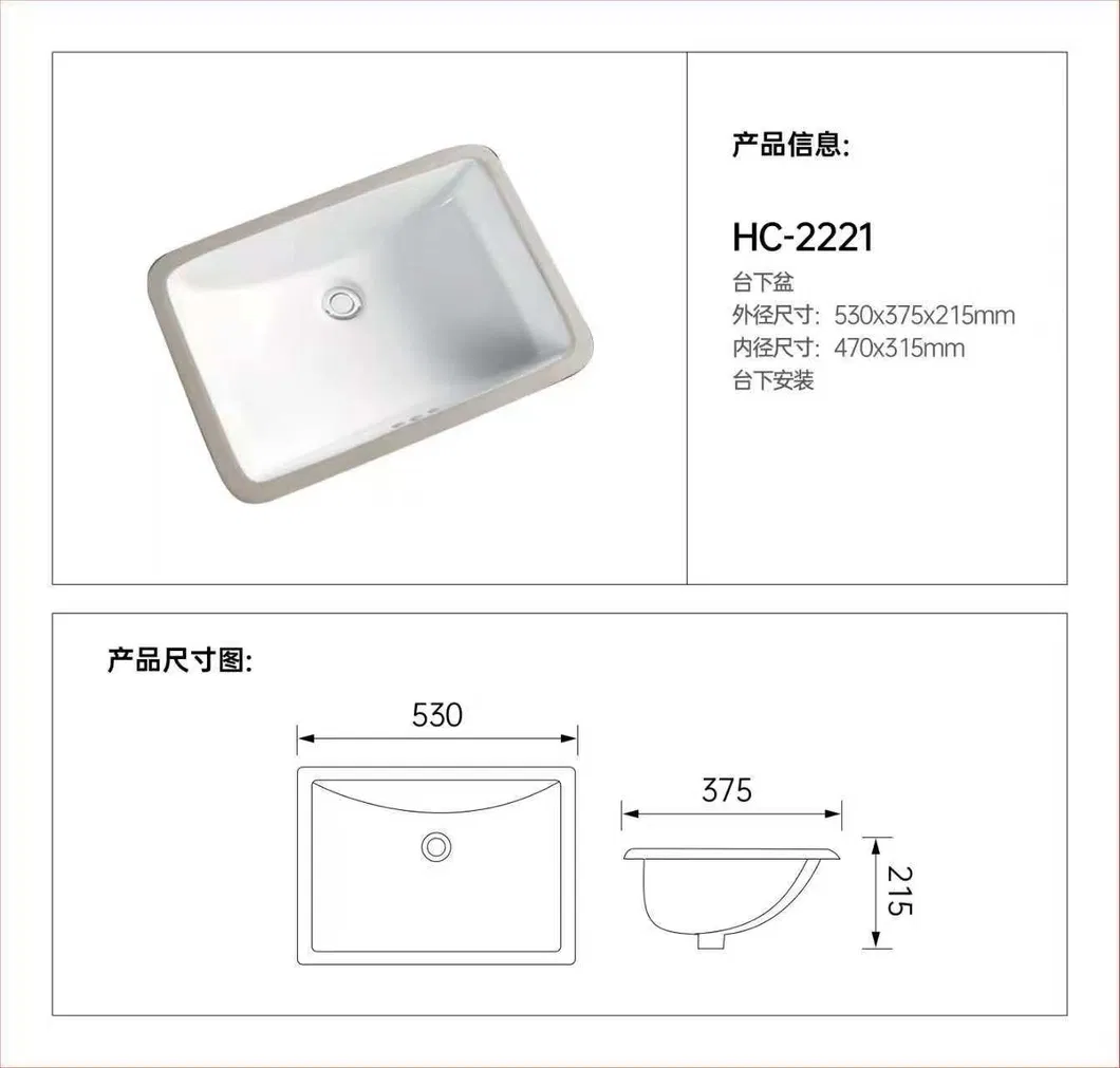 Undermount Ceramic Sink View 1
