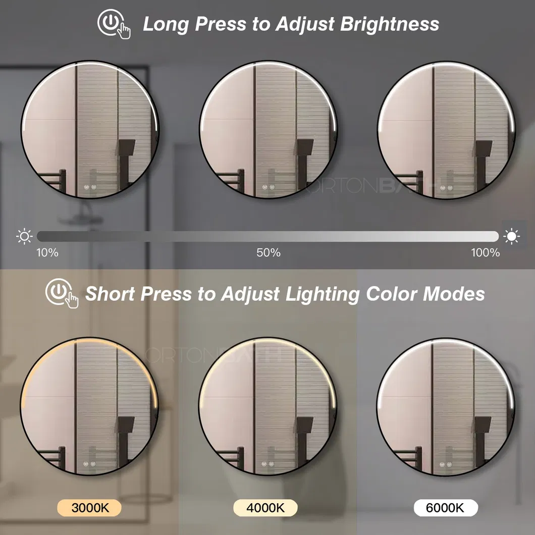 Detailed Mirror View 5