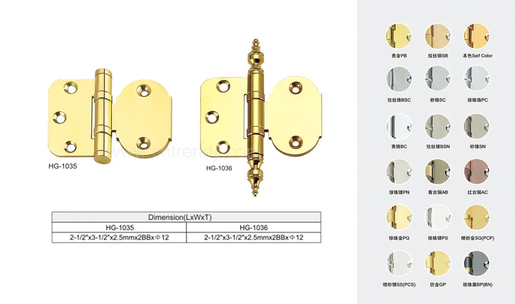 Cabinet Brass Hinge View 1