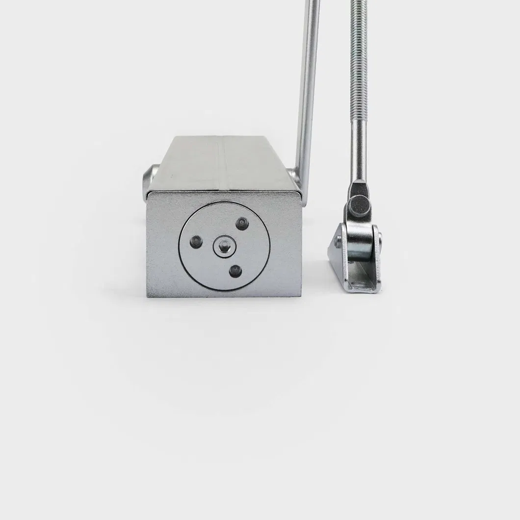 Door Closer Detail 2