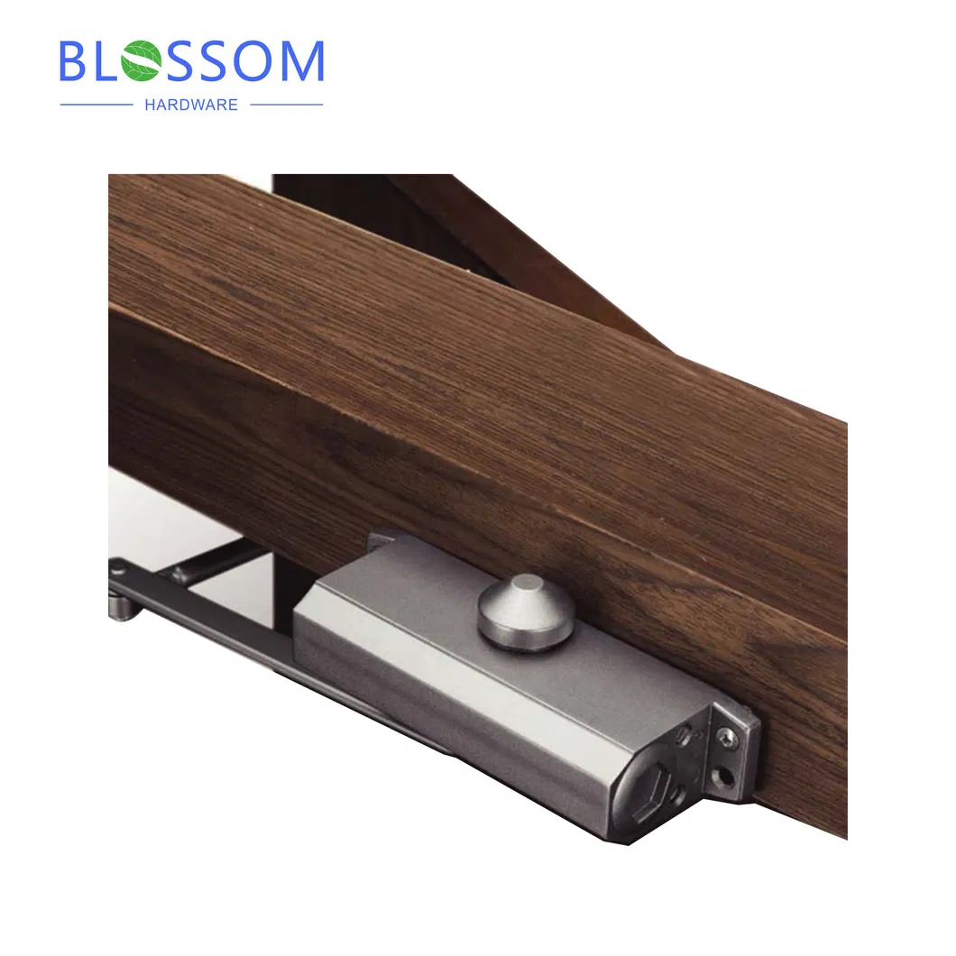 Concealed Overhead Door Closer