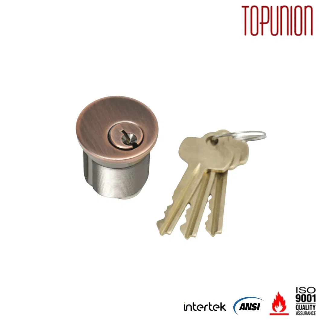 Mortise Cylinder View