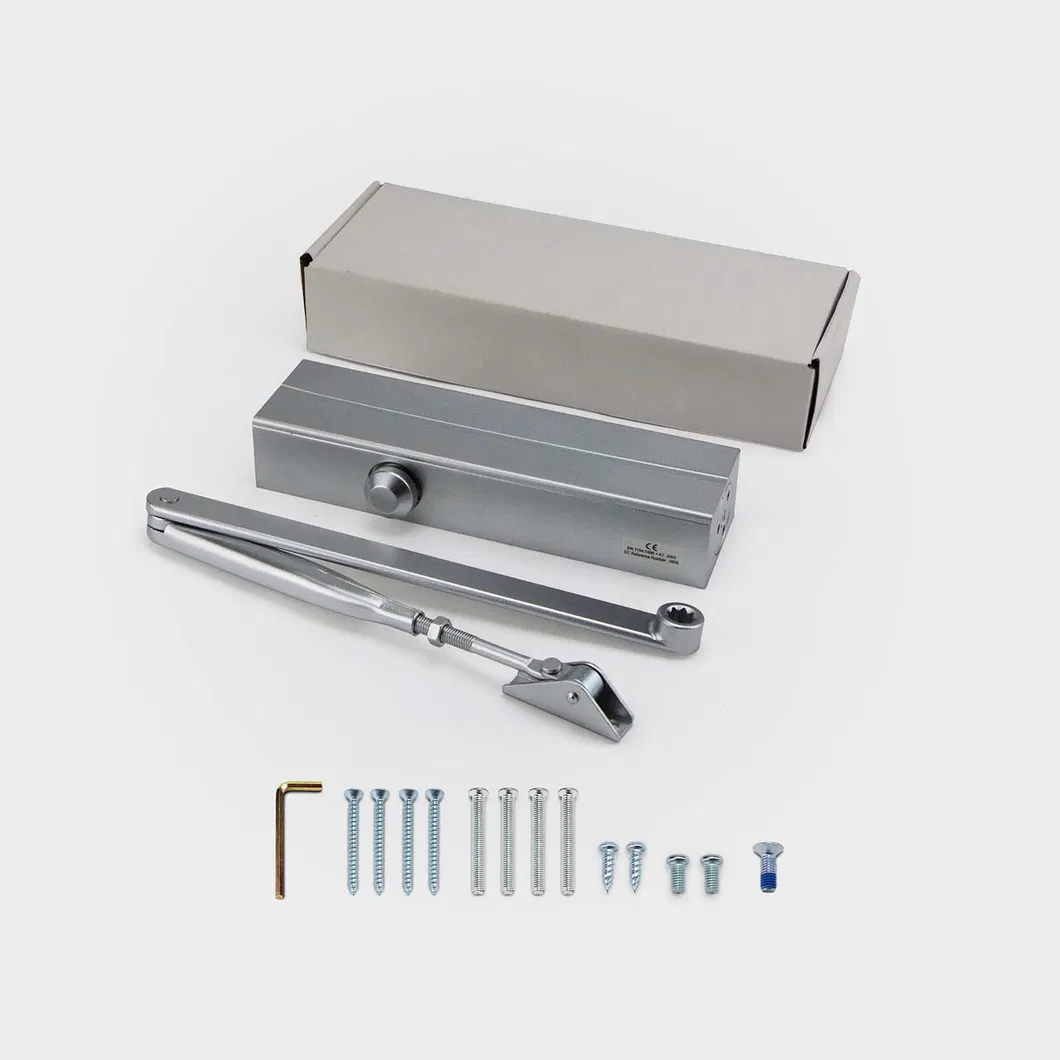 Door Closer Detail 3