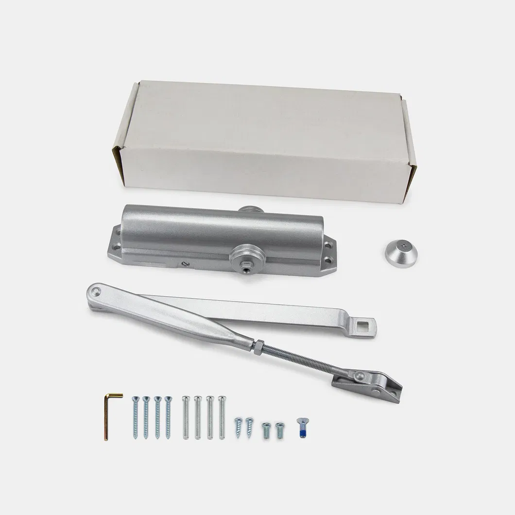 Door Closer Detail 3