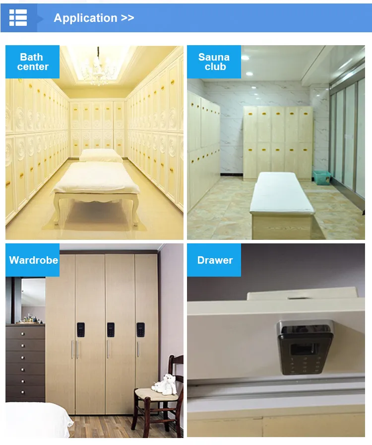 Zinc Alloy Lock Body