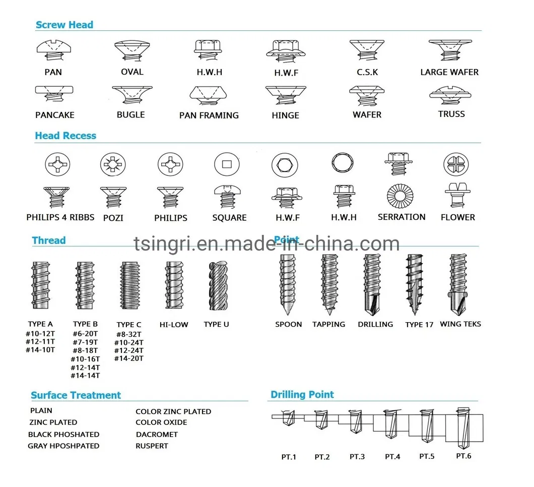 Main Screw Products