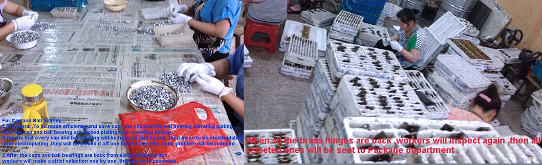 Detailed Hinge Specs 4