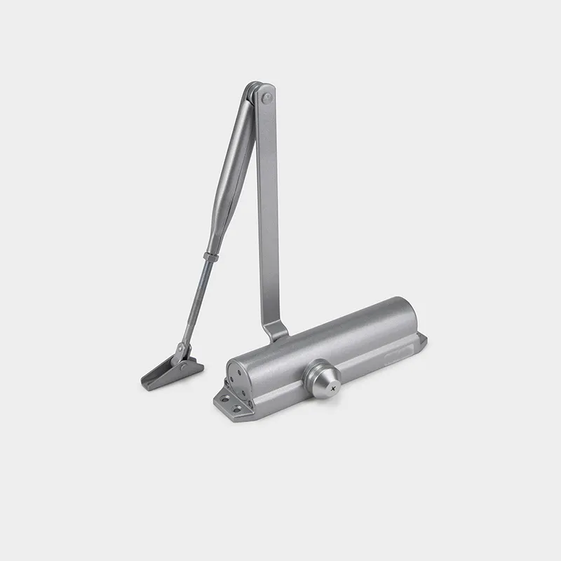 Door Closer Detail 1