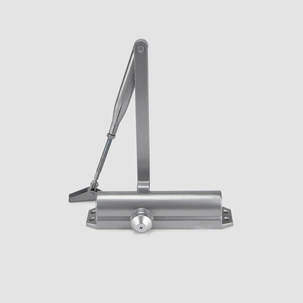 Door Closer Detail 2