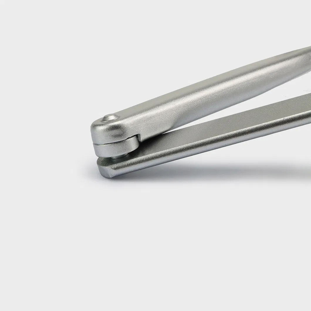 Door Closer Detail 4