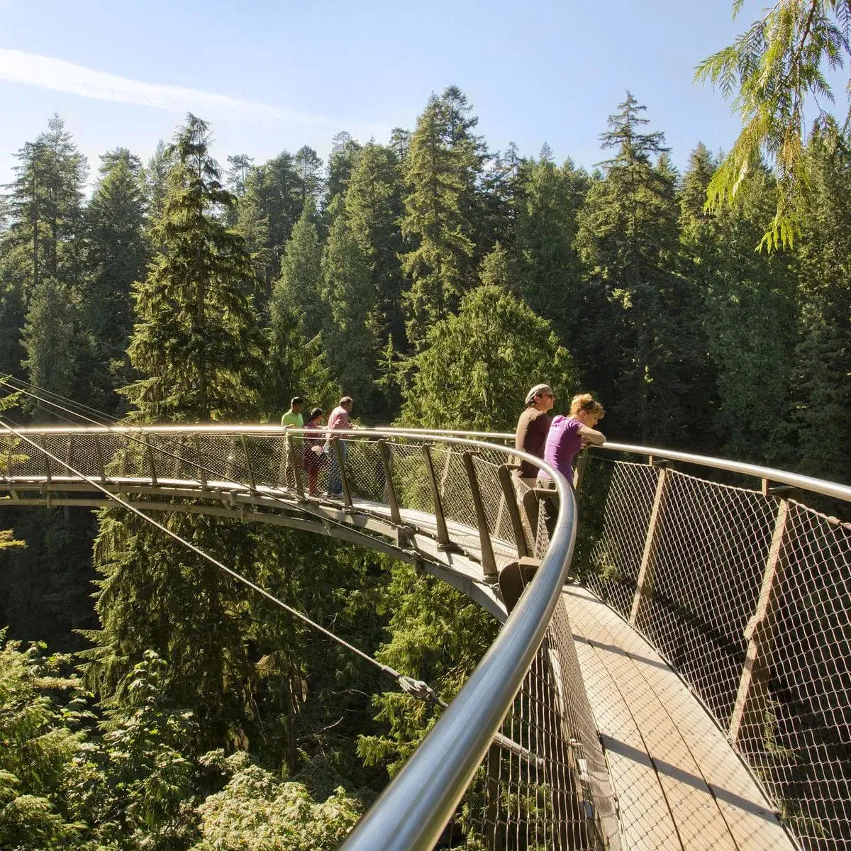 Durable Ferrule Balcony Railing Wire Zoo Mesh Flexible Stainless Steel Rope Mesh