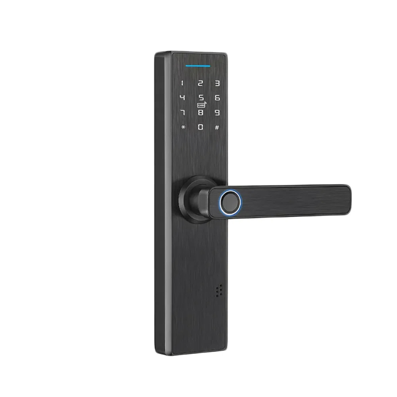 Digital Card Combination Magnetic Safe Door Handle Smart Lock Hardware Customized Color