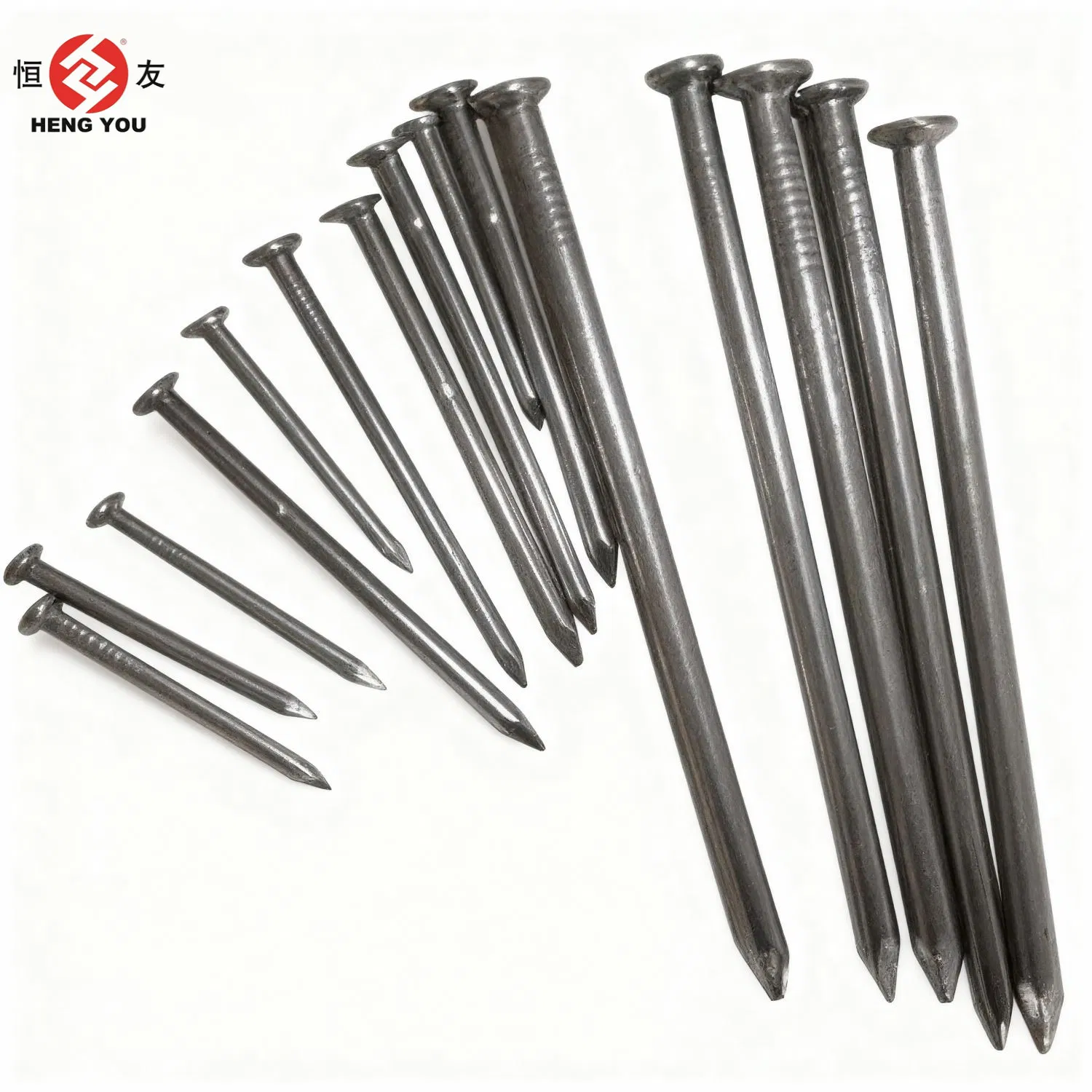 Galvanized Long/Short Common Nail for Hanging Garden Building