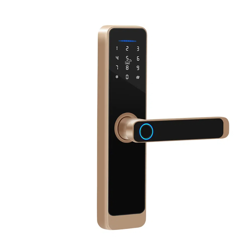 Digital Card Combination Magnetic Safe Door Handle Smart Lock Hardware Customized Color