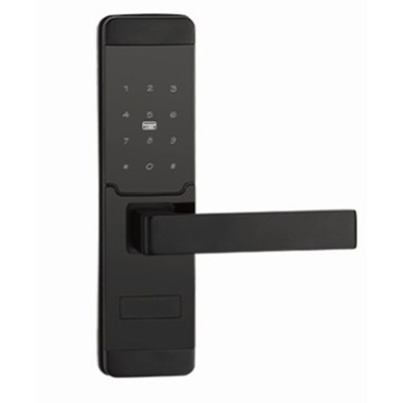 Digital Card Combination Magnetic Safe Door Handle Smart Lock Hardware Customized Color