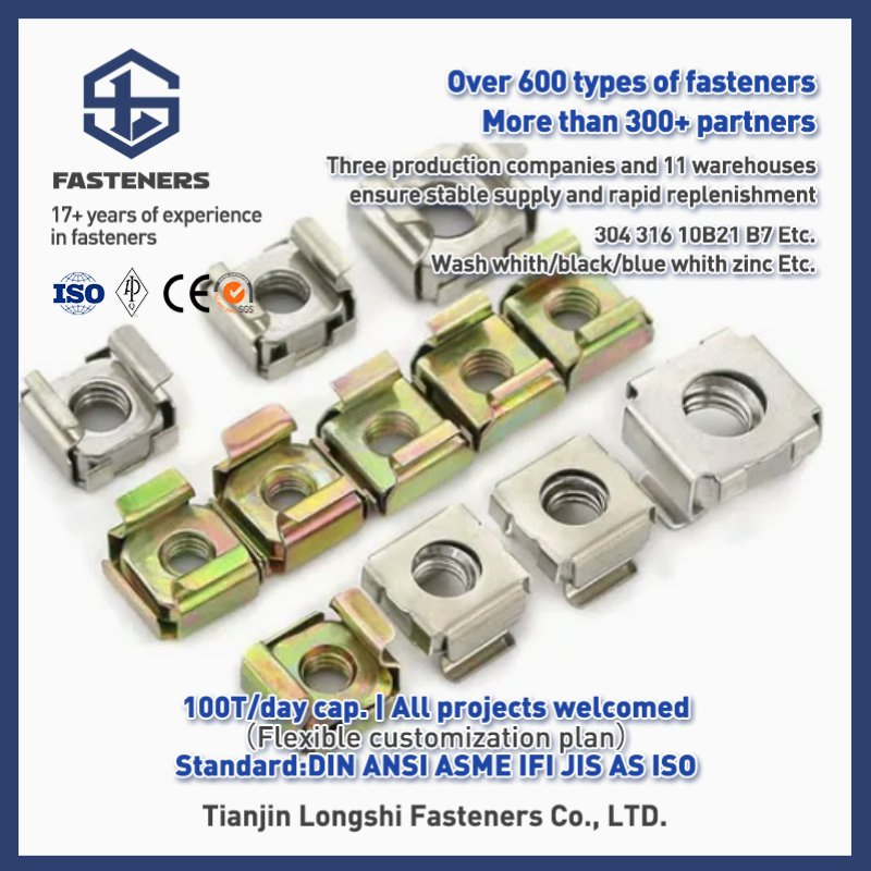 Cassette Spring Steel Nut Zinc Rack Mount Screw and Cage Nut with Color Zinc Plated Made in China