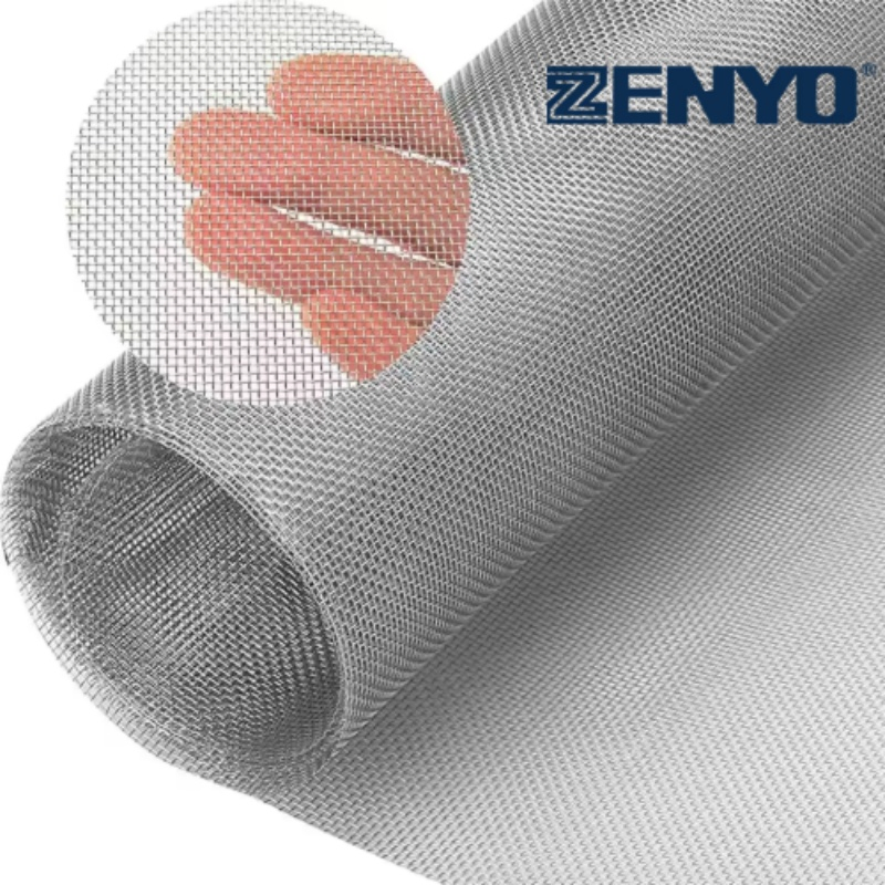 High Quality Stainless Steel Window and Door Insect Screen Net Modern Design Wire Mesh