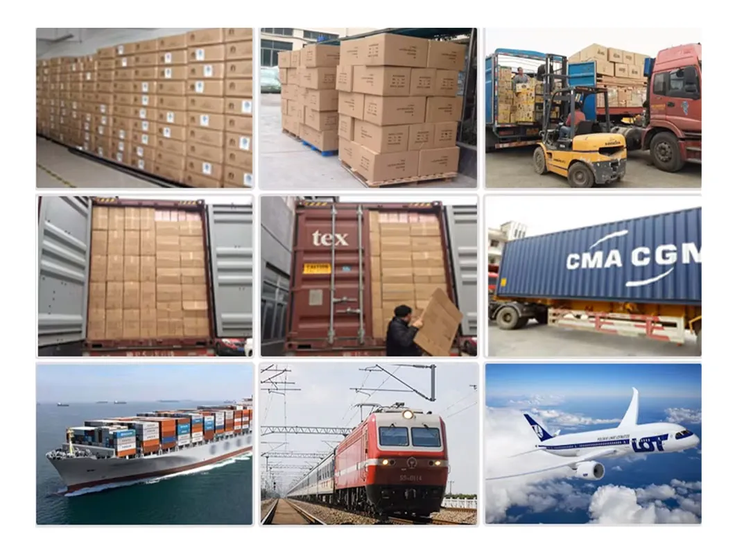Embalagem e Transporte