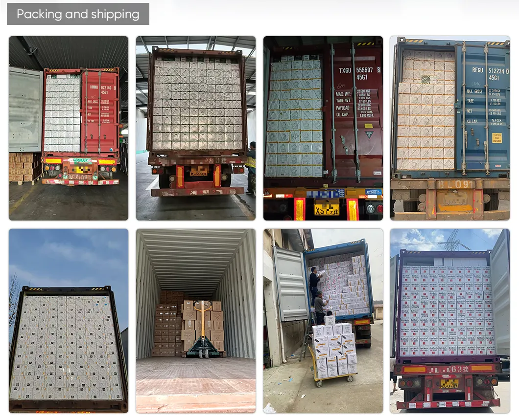 Embalagem e Transporte