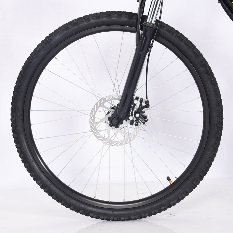 Moda 36V 10ah Bicicleta Elétrica Recreativa Urbana para Adultas Gravity City