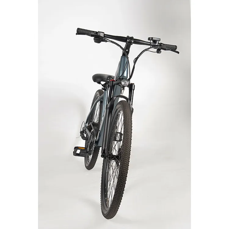 Bicicleta Elétrica Masculina e Feminina, Bicicleta de Moda Urbana em Liga de Alumínio 6-Speed