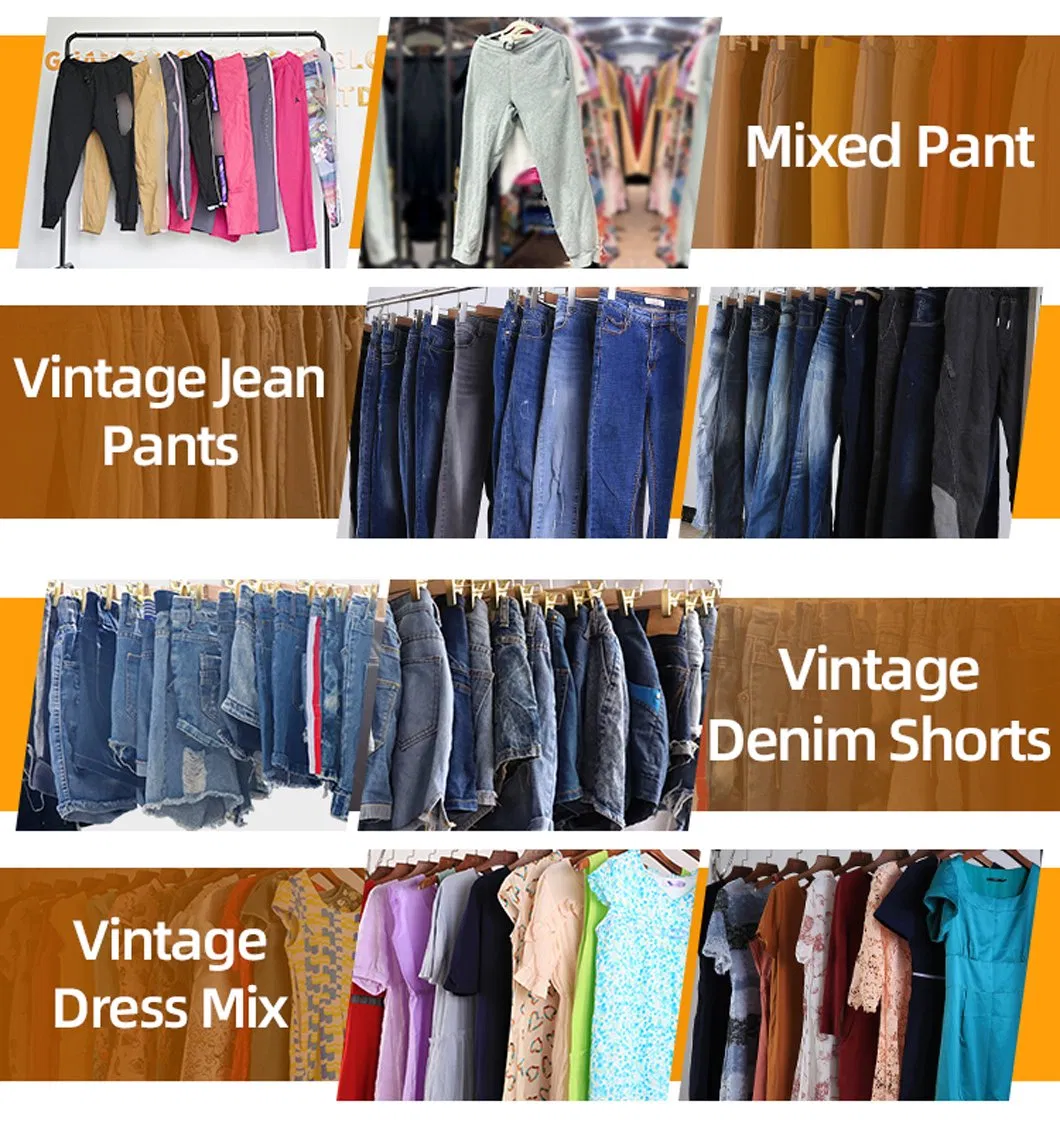 Seleção e categorização de roupas de marca