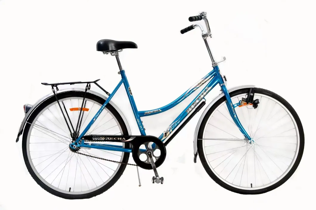 Estrutura de aço e rodas de alumínio da bicicleta