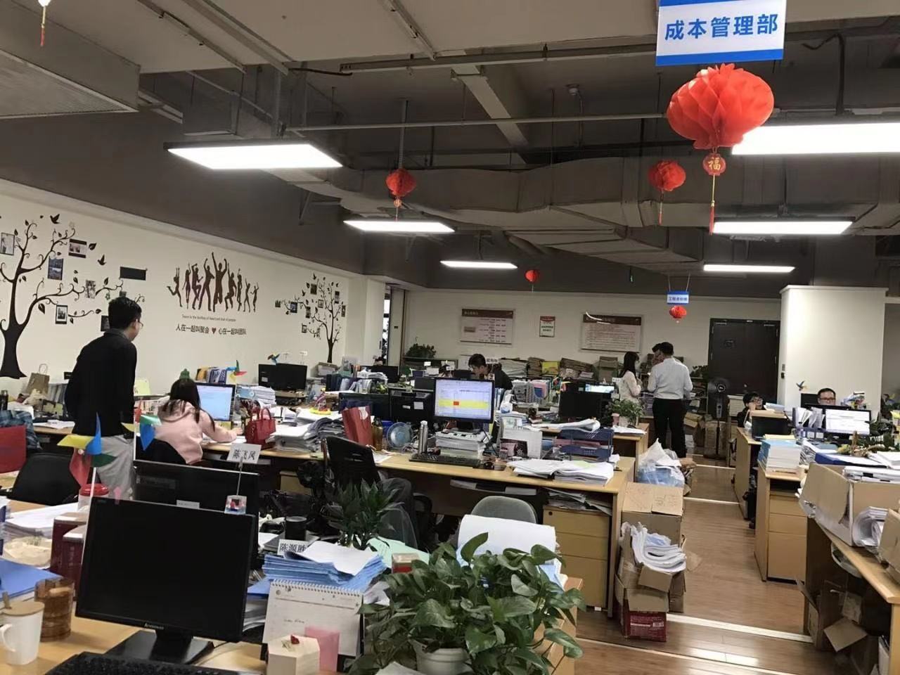 Company Office 2
